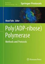 Poly(ADP-ribose) Polymerase