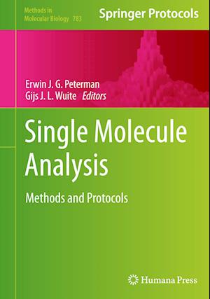 Single Molecule Analysis