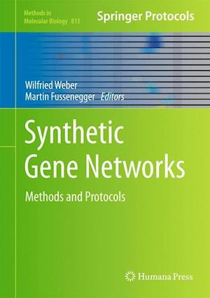 Synthetic Gene Networks