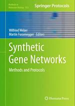 Synthetic Gene Networks