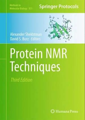 Protein NMR Techniques