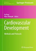 Cardiovascular Development