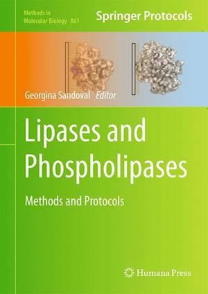 Lipases and Phospholipases