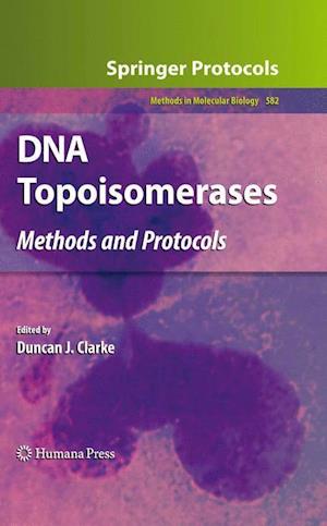 DNA Topoisomerases