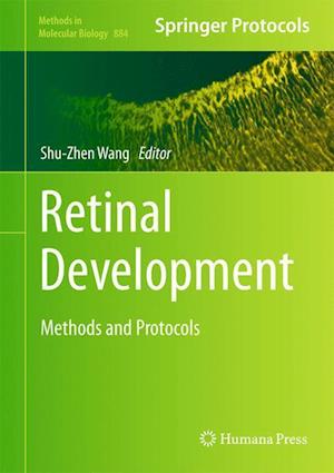 Retinal Development