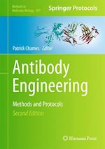 Antibody Engineering