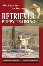 Retriever Puppy Training