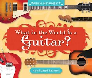 What in the World Is a Guitar?