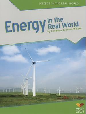 Energy in the Real World