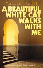 Beautiful White Cat Walks with Me