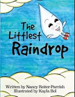 The Littlest Raindrop