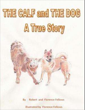 Calf and The Dog  A True Story