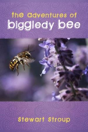 Adventures of Biggledy Bee