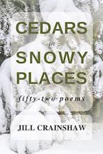 Cedars in Snowy Places
