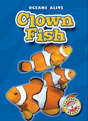 Clown Fish