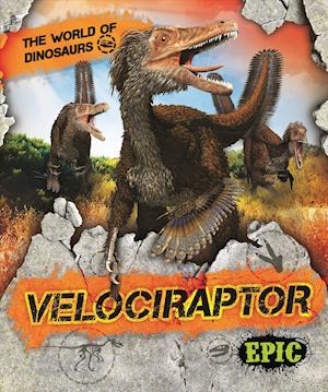 Velociraptor