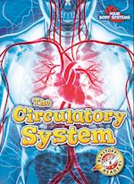 The Circulatory System