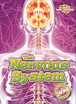 The Nervous System