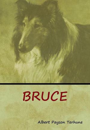 Bruce