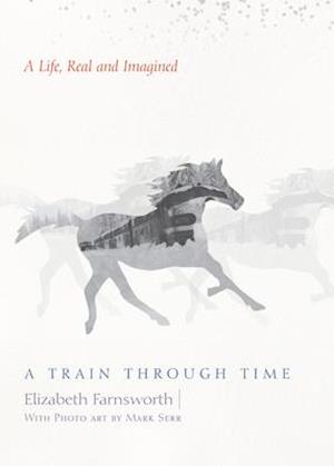 Train through Time