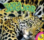 Yo Soy El Jaguar, with Code