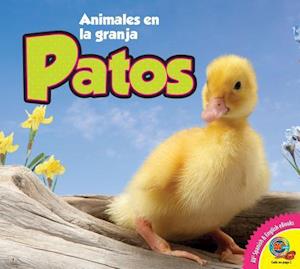 Patos, With Code = Ducks, with Code