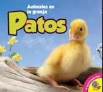 Patos, With Code = Ducks, with Code
