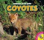 Coyotes, With Code = Coyotes, with Code