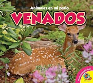 Deer Venados