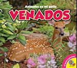 Deer Venados