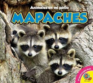 Mapaches, With Code