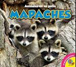 Mapaches, With Code