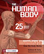 Human Body