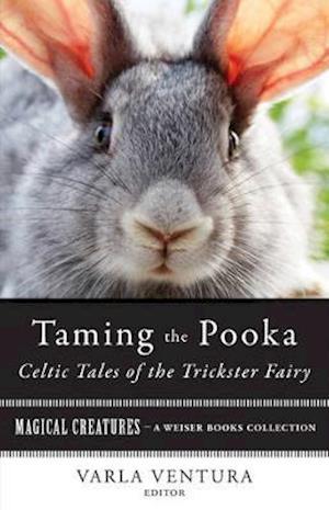 Taming the Pooka, Celtic Tales of the Trickster Fairy