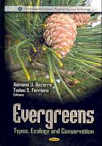 Evergreens