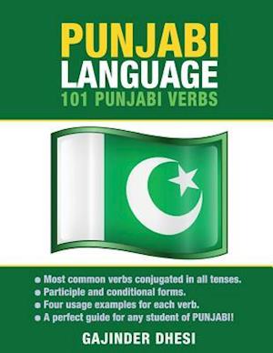 Punjabi Language