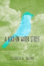 A Bird On Water Street