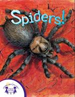 Know-It-Alls! Spiders