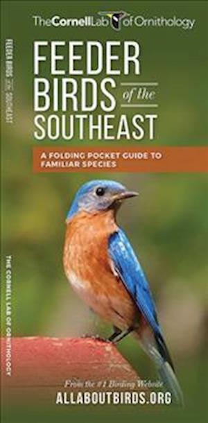 Feeder Birds of the Southeast