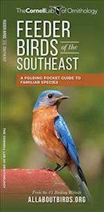 Feeder Birds of the Southeast