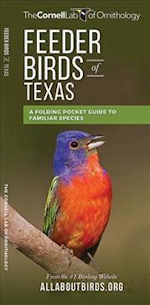 Feeder Birds of Texas