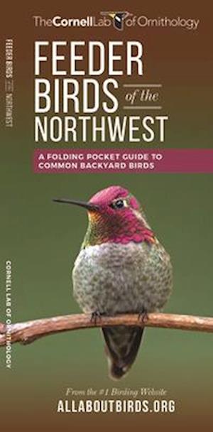 Feeder Birds of the Northwest