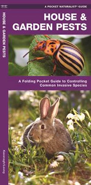 House & Garden Pests, 2nd Edition