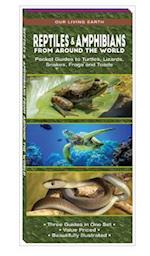 Reptiles & Amphibians from Around the World