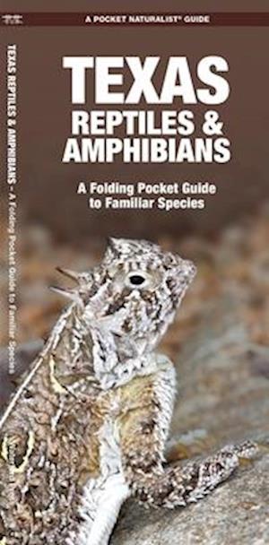 Texas Reptiles & Amphibians