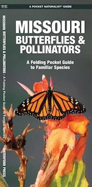 Missouri Butterflies & Pollinators