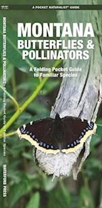 Montana Butterflies & Pollinators
