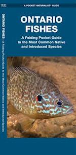 Ontario Fishes : A Folding Pocket Guide to the Most Common Native and Introduced Species 