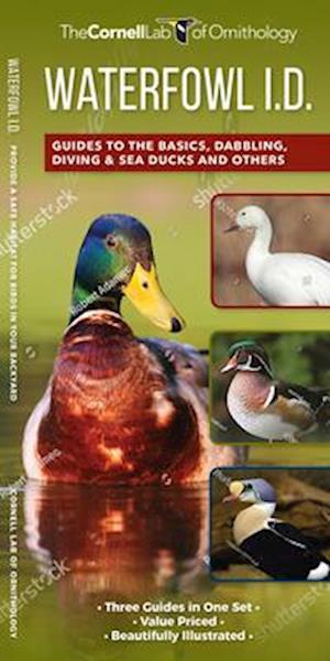 Waterfowl ID Set