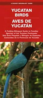 Yucatan Birds/Aves de Yucatan